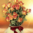 https://avatars.mds.yandex.net/get-zen_doc/3373796/pub_5ed895b86a1b2a75c448c8ac_5ed8a13a5db2e716a603187b/scale_1200 - Краеведческий музей